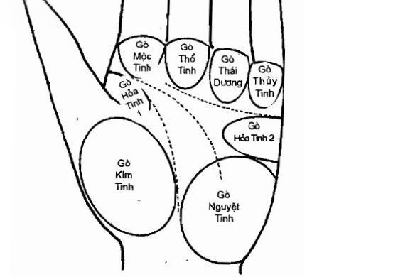 Gò Kim Tinh: Sự phân tích chi tiết về ý nghĩa trên lòng bàn tay